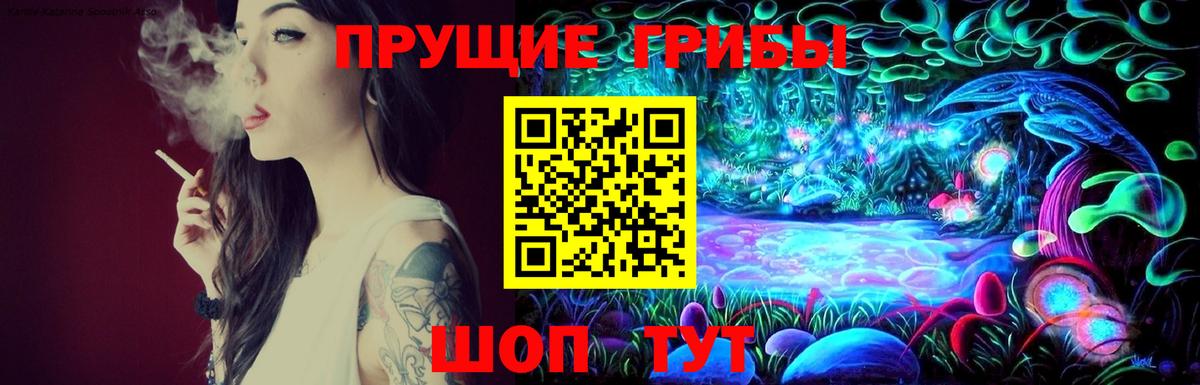 Псилоцибиновые грибы Psilocybe Кореновск