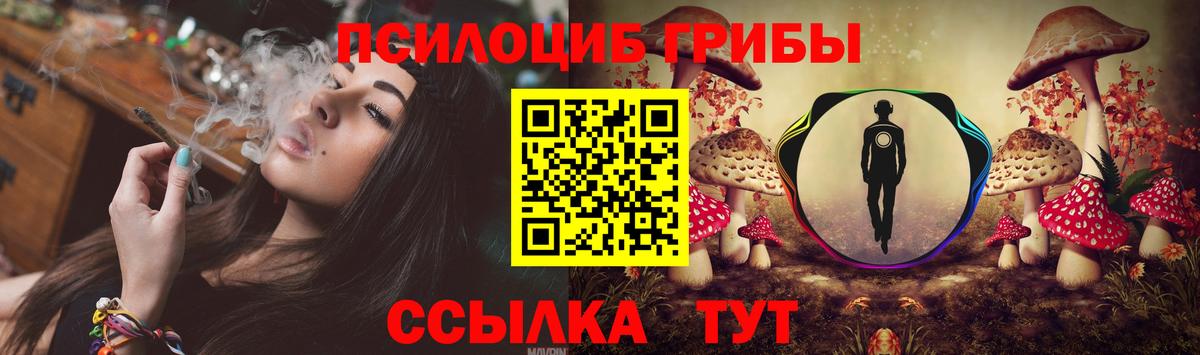 Кореновск  Псилоцибиновые грибы ЛСД  Псилоцибиновые грибы Magic Shrooms  Вход с VPN 